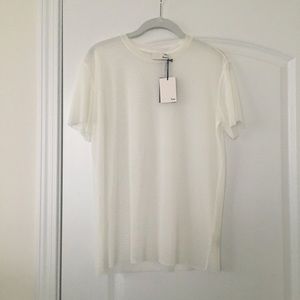 Aritzia sheer short sleeve top.